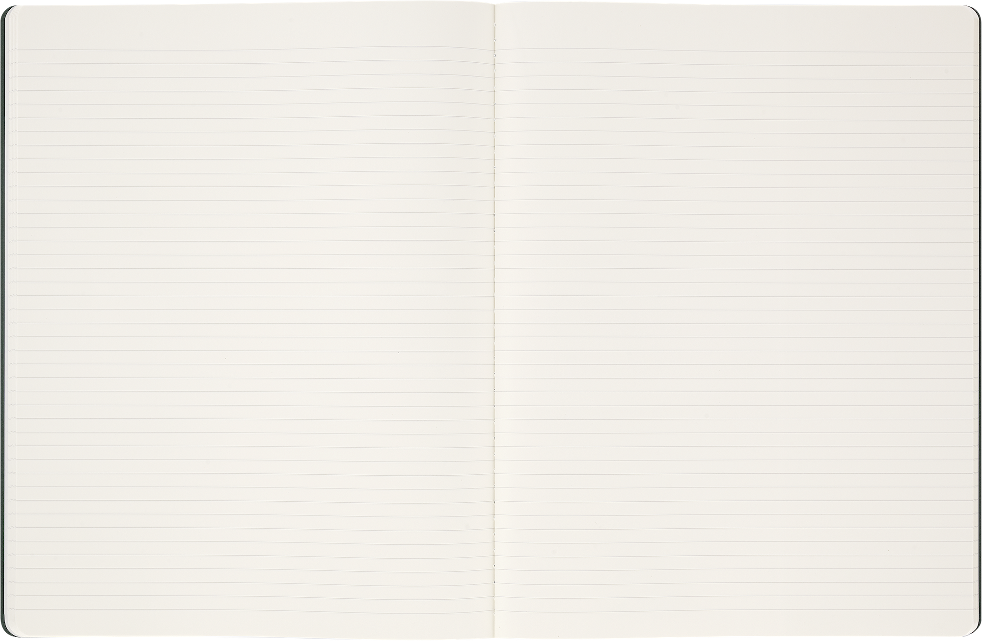 Записник Cahier Student XXL Лінійка Миртовий зелений - Зображення 6