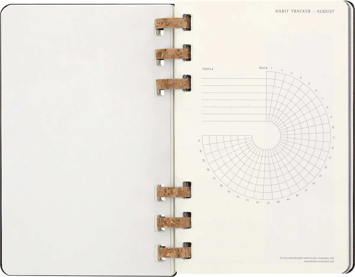 Щотижневик на 12 місяців 2023-2024 Spiral Академічний Чорний - Зображення 10
