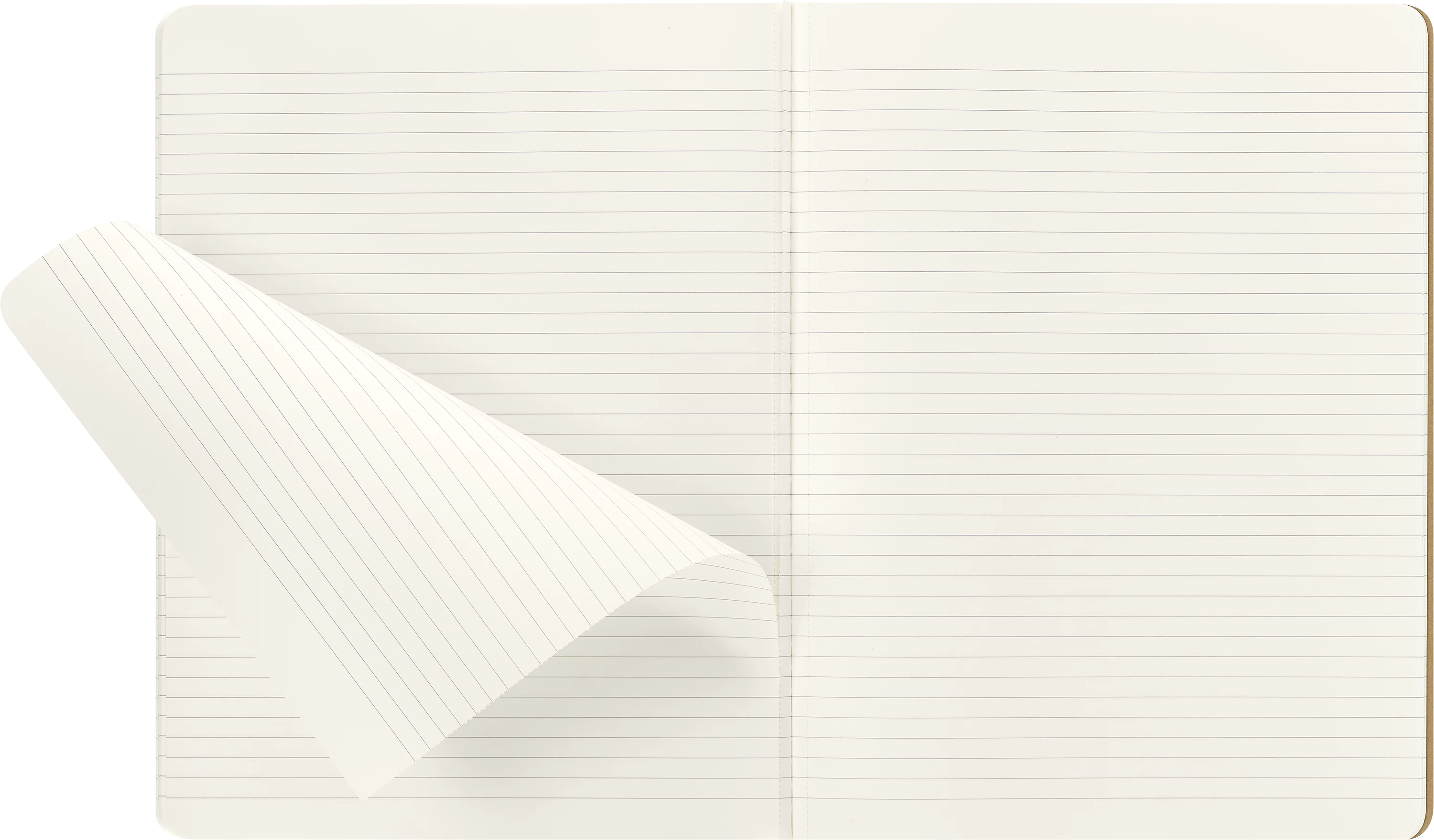 Зошит Harry Potter Wingardium великий Лінійка - Зображення 3