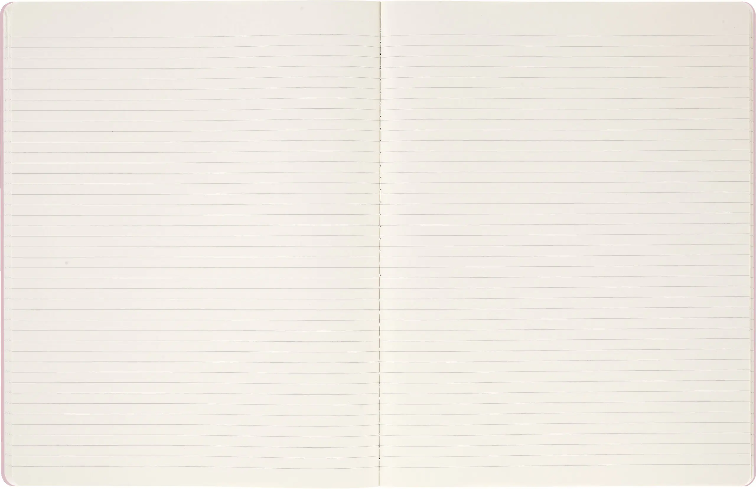 Записник Cahier Sakura Imprint великий Лінійка - Зображення 3