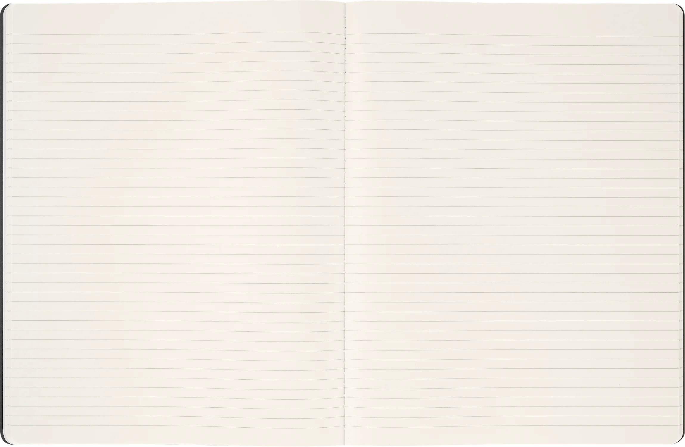 Записник Cahier Year of the Horse великий Лінійка - Зображення 4